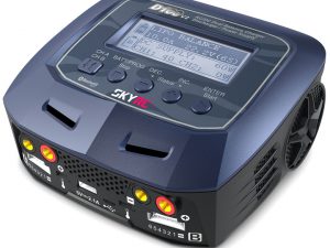 SK100131P